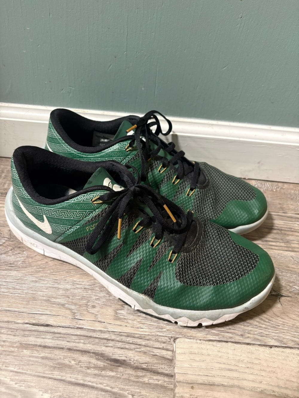Nike Free-run 5.0 - Michigan State Spartans - MSU - Men’s Size 11